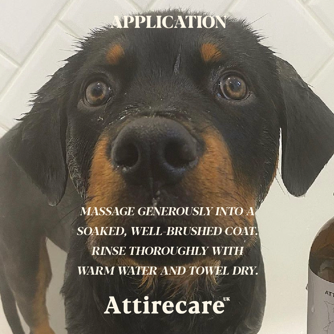 Organic Dog Shampoo // 500ml