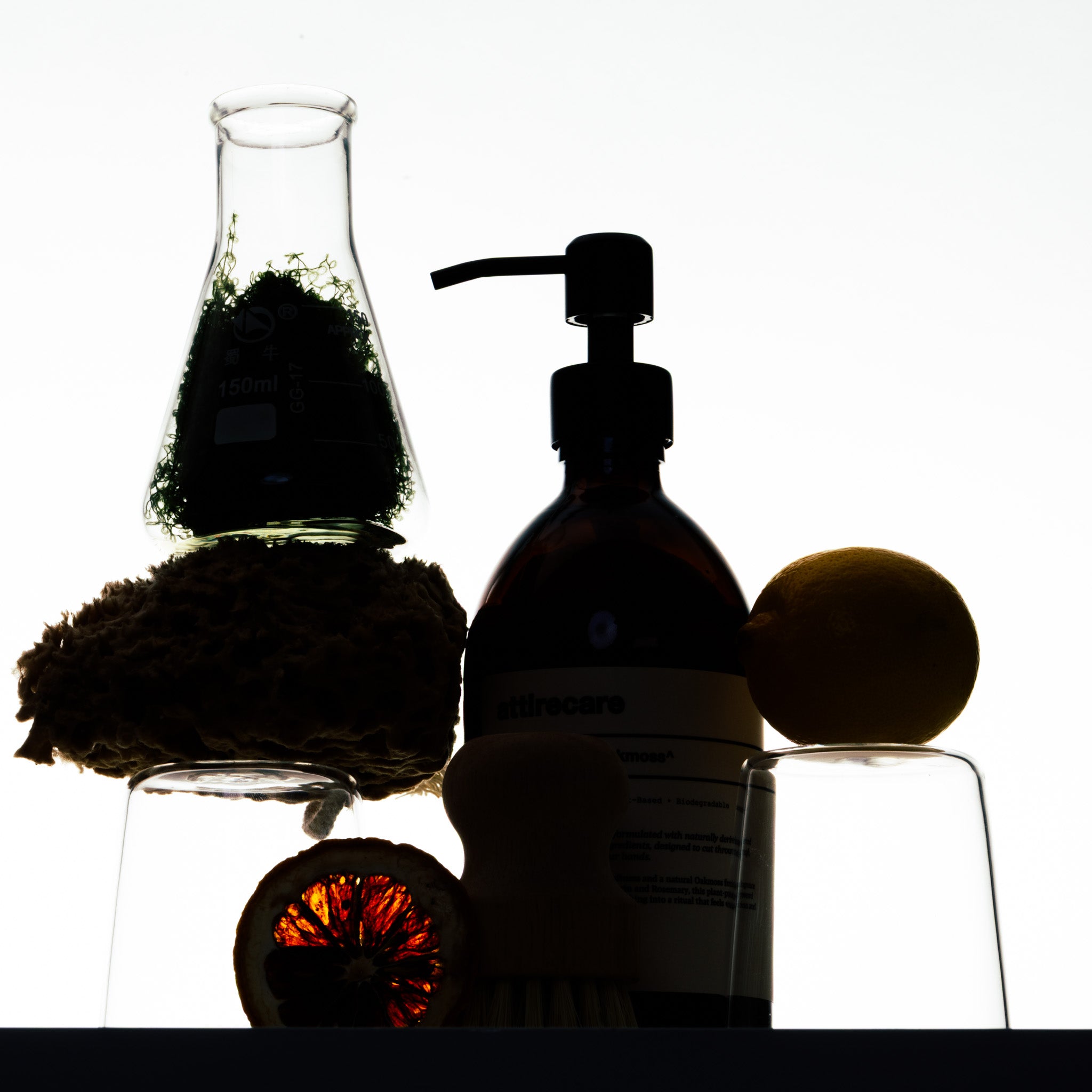 Dish Wash Oakmoss^ // 500ml